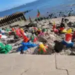 mfr rhone sculptures colorees sur une plage au portugal drap